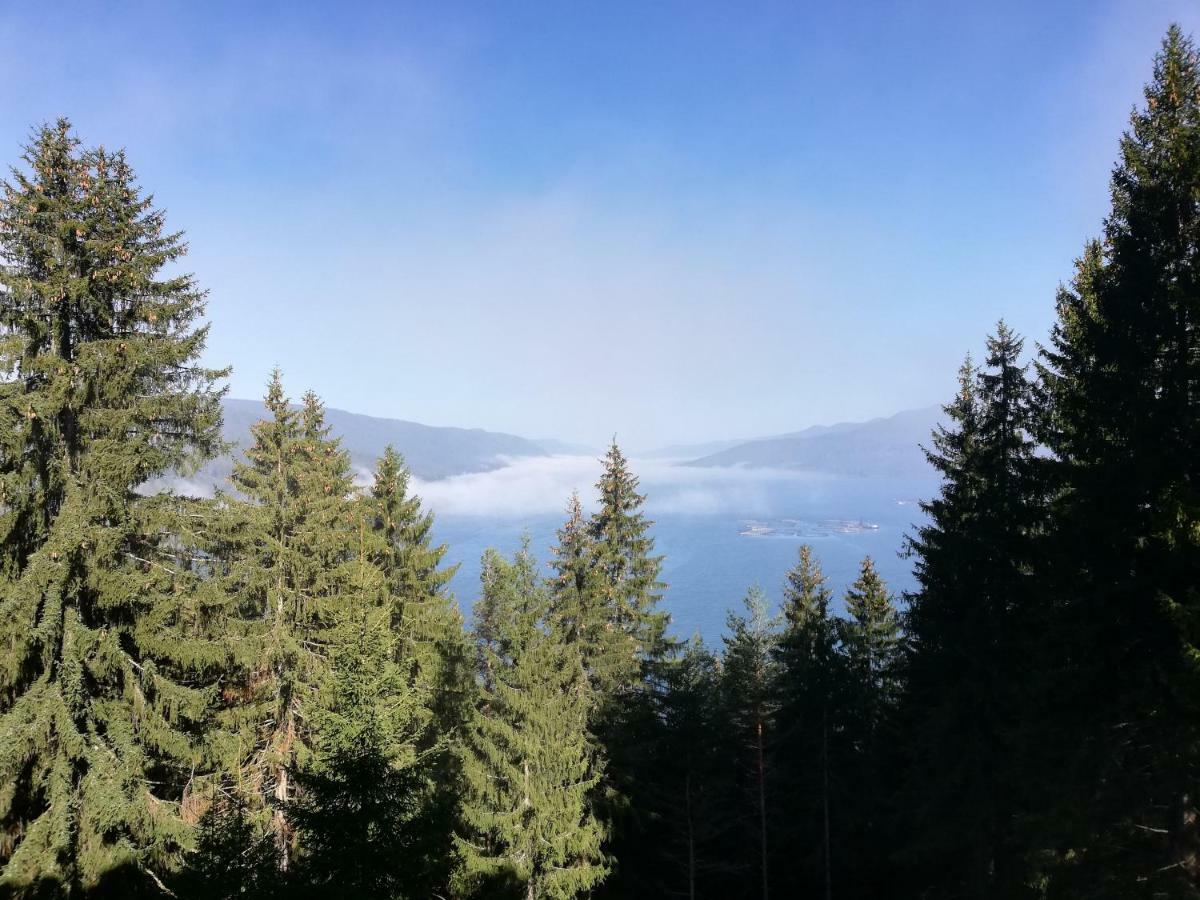 Eldosport Hotel Dospat Zewnętrze zdjęcie